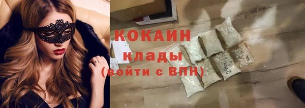шишки Переславль-Залесский