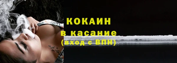 шишки Переславль-Залесский