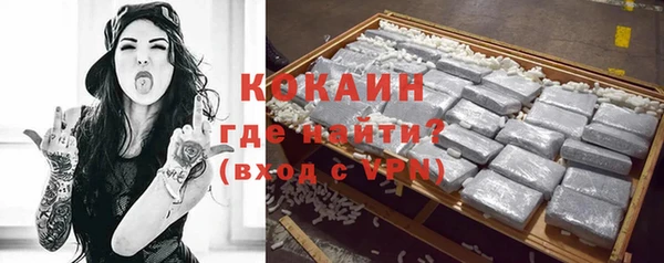 шишки Переславль-Залесский