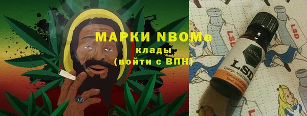 шишки Переславль-Залесский