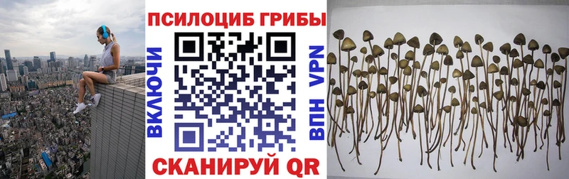 Псилоцибиновые грибы Magic Shrooms  Купить закладки  Югорск 